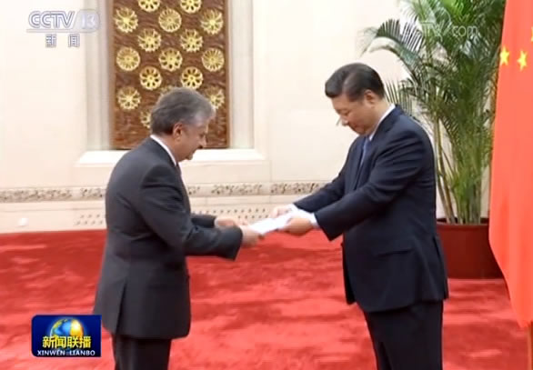 习近平接受十三国新任驻华大使递交国书