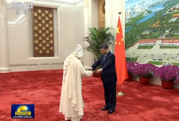 习近平接受十三国新任驻华大使递交国书