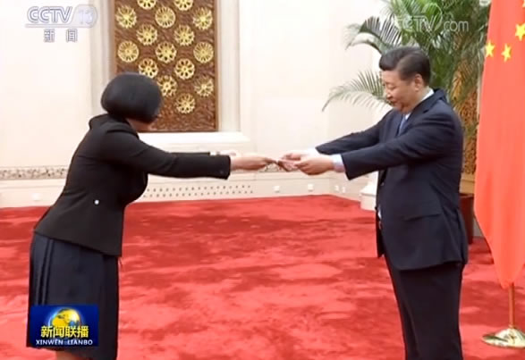 习近平接受十三国新任驻华大使递交国书