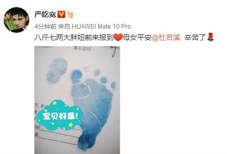 杜若溪产女 严屹宽喜当爹:八斤七两大胖妞前来报到