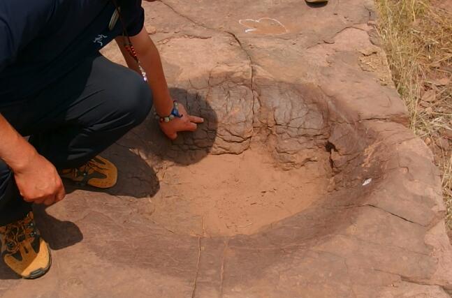 山东又发现一处侏罗纪公园！恐龙足迹化石群现郯城