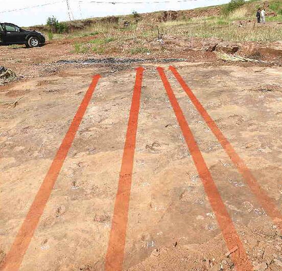 山东又发现一处侏罗纪公园！恐龙足迹化石群现郯城