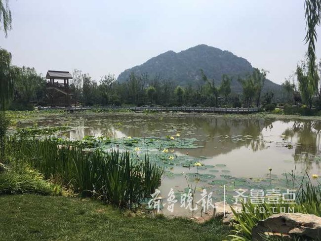 华山湿地公园园林一期完成近半 三圈环湖路已现雏形