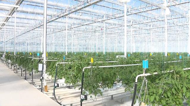 山东强化标准化基础支撑 最高扶持200万元资金