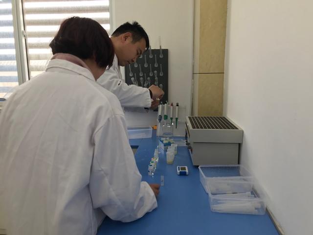 山东强化标准化基础支撑 最高扶持200万元资金