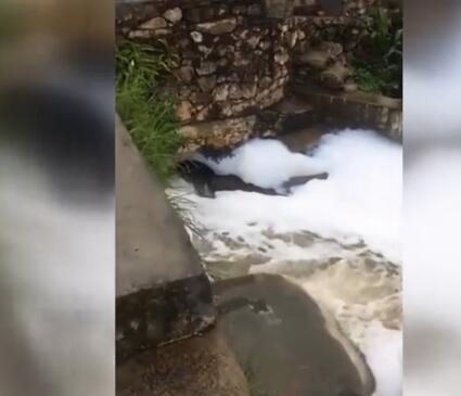 “一瓶”洗洁精创造的奇观!巨大白色泡沫包围村庄 环保部门要追查