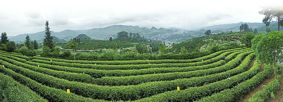 让“边城”美景不再与贫穷为伴 济南湘西东西部扶贫协作取得明显成效