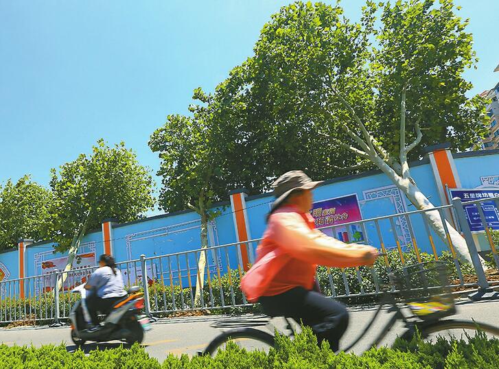 狂风来袭树遭殃：市区倒了2400余棵 “树大招风”还惹了不少祸