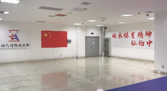 爸爸,我要学摔跤