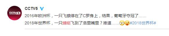 好大一口蛋白质！法国门将赛中误食蜻蜓 这算什么还有吃翔的