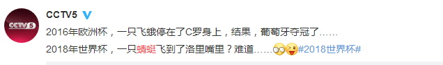 莫非是吉兆？门将赛中误食蜻蜓 看洛里痛苦的表情实在让人心疼