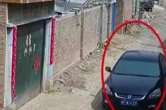 无一漏网!河北捣毁盗窃团伙 