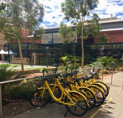 ofo退出澳大利亚 许多居民发泄不满车子被挂在树上或扔水里