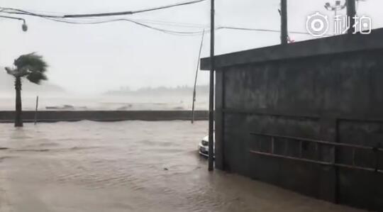 都是“玛利亚”惹的祸!温州苍南海水倒灌 像闸门放水一样直接冲