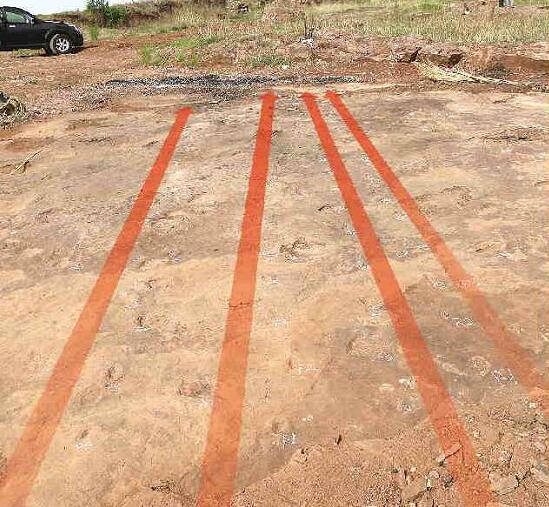 白垩纪研究:巨型恐龙遗骸出土 山东郯城出土巨型恐龙足迹化石群