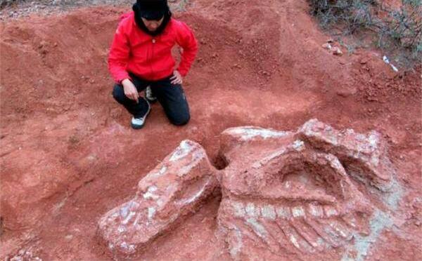 阿根廷考古圣地:巨型恐龙遗骸出土 2.1亿年前三叠纪时期10吨巨兽