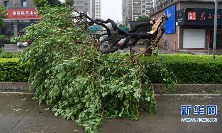 台风玛莉亚登陆福建!台风登陆连江 厦金航线全线停航