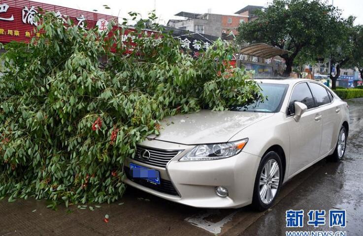 台风玛莉亚登陆福建!台风登陆连江 厦金航线全线停航