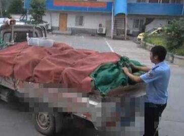 暖心戳泪!瓜农醉酒开车被拘 交警半小时就把3000斤瓜