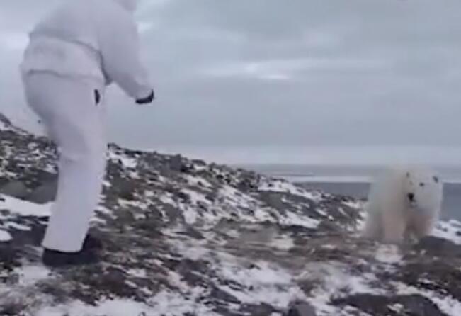 我不要面子的吗?徒手吓走北极熊 遇