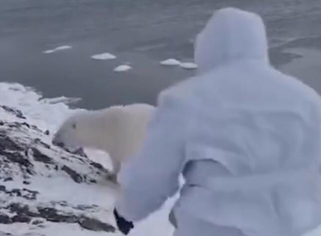 我不要面子的吗?徒手吓走北极熊 遇
