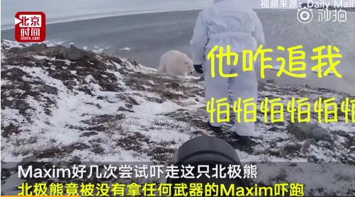 俄罗斯摄影师徒手吓走北极熊 面对战斗民族熊宝宝马上认怂