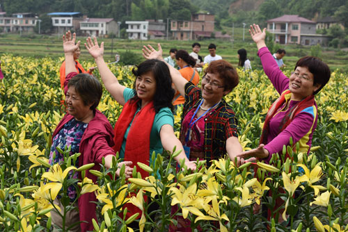 “农业迪士尼”月入百万 新思维助“老土”变身