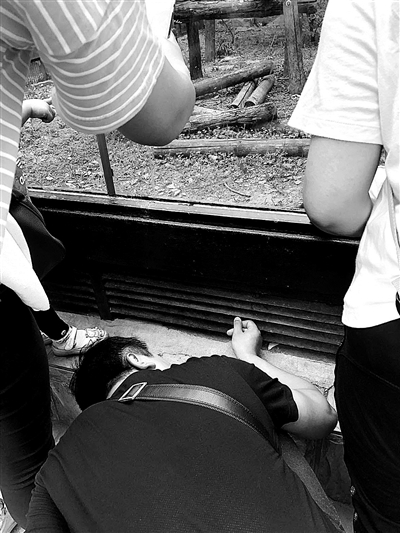 这样对“齐天大圣”？游客“挂面喂猴”成灾 影响动物消化或至死亡