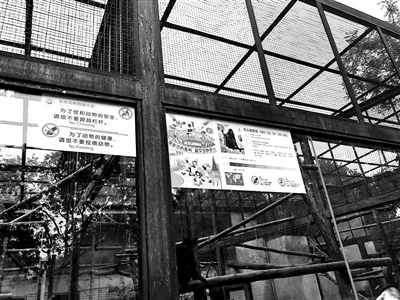 这样对“齐天大圣”？游客“挂面喂猴”成灾 影响动物消化或至死亡