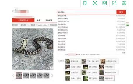 陕西渭南:被咬女孩脑死亡 21岁女孩网购银环蛇被咬伤