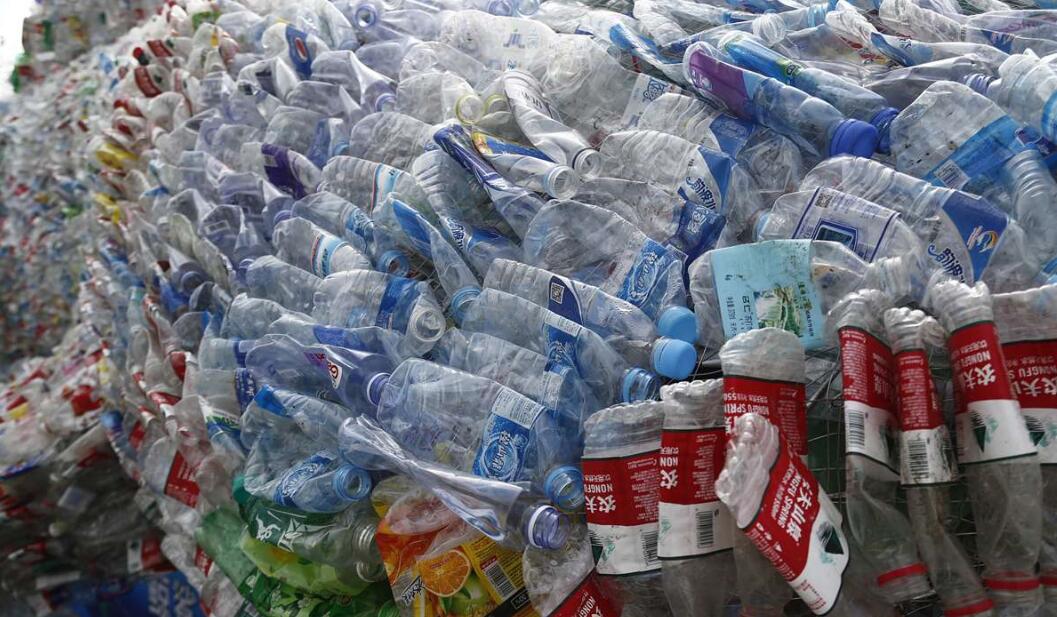 日照4万个塑料瓶变身9米鲸鲨获基尼斯之最