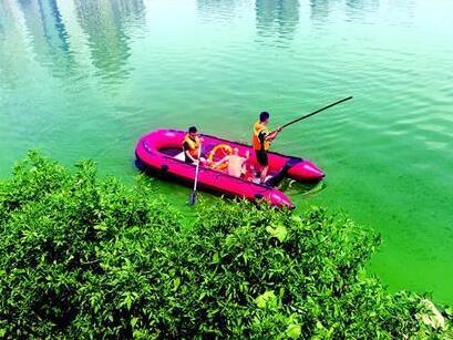 吓死鱼宝宝了!大鱼拖走鱼竿 鱼:今天我钓了个人把他放了