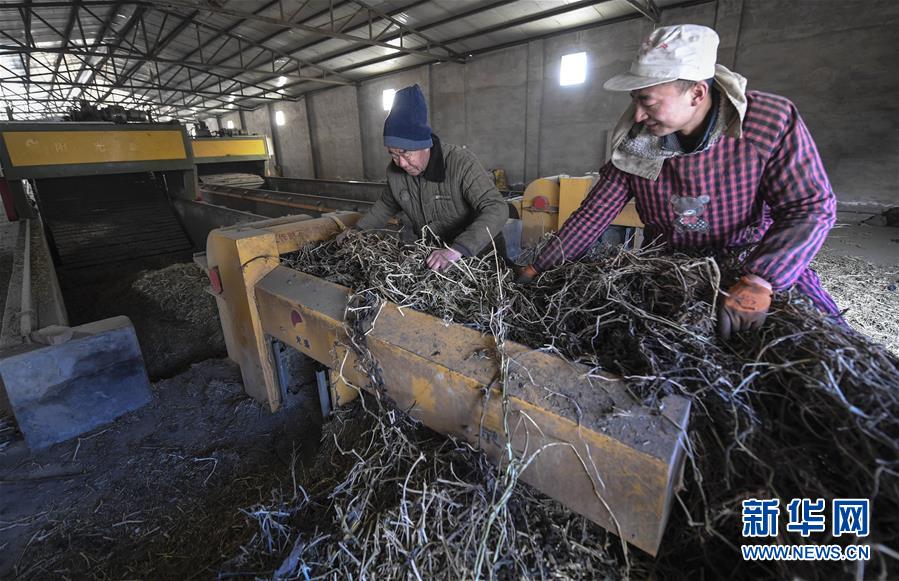 乡村振兴战略开局有力 农业农村发展亮点频现