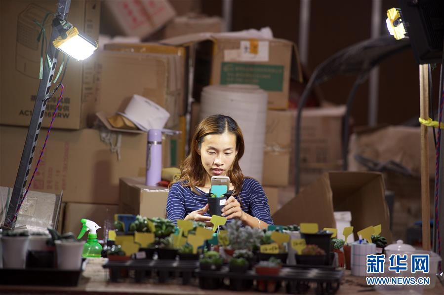 乡村振兴战略开局有力 农业农村发展亮点频现