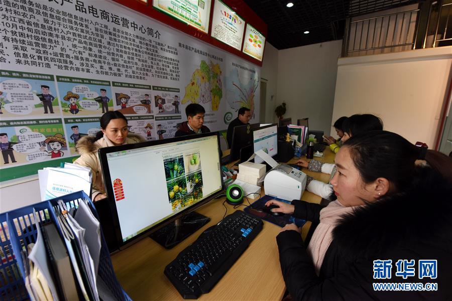 乡村振兴战略开局有力 农业农村发展亮点频现