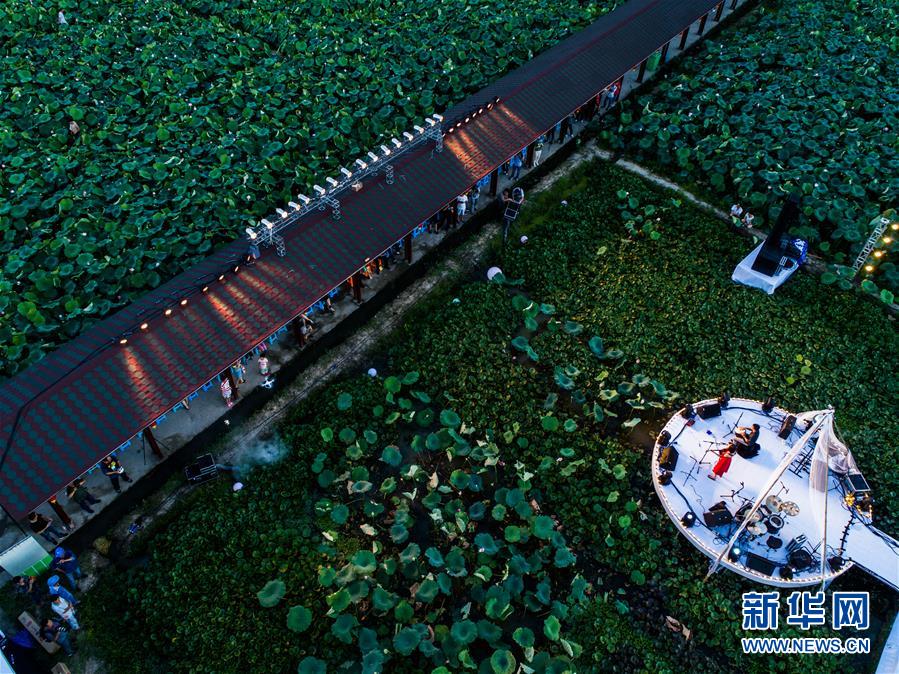 乡村振兴战略开局有力 农业农村发展亮点频现