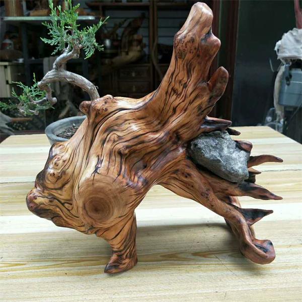 山西崖柏协会组团参展济南艺博会