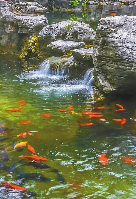 连续降雨带喜讯泉水水位蹭蹭涨