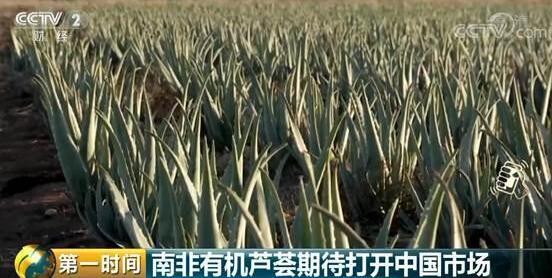 2018金砖会晤落幕：这些成果将影响31亿人的生活