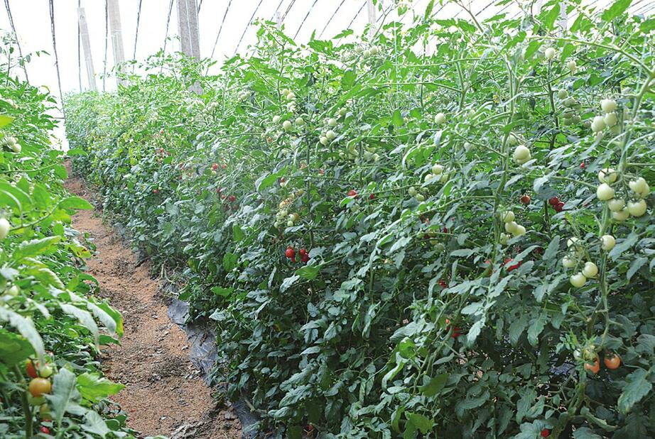 贯彻落实全市生态环境保护大会精神 济南各区县划重点为蓝天美颜