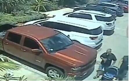 真相离奇!小偷水族馆偷鲨鱼 把鲨鱼宝宝装在婴儿车里带走