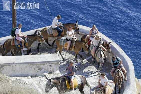 累坏小毛驴！胖游客越来越多 希腊小岛毛驴脊柱受损被压脱皮