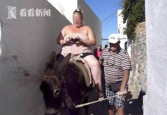累坏小毛驴！胖游客越来越多 希腊小岛毛驴脊柱受损被压脱皮