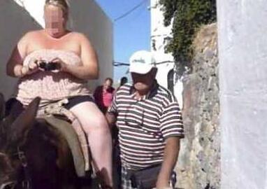 忍俊不禁！旅游胜地胖游客越来越多 驴难承游客之重被压垮