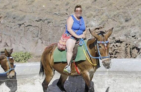 爱琴海：胖游客越来越多驴饱受摧残 被当做交通工具艰苦劳作