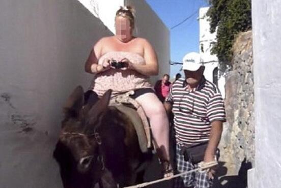 爱琴海：胖游客越来越多驴饱受摧残 被当做交通工具艰苦劳作