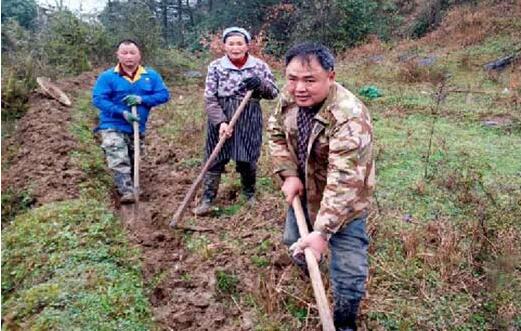 独腿老兵卸甲走荒山 每天2万步刨出千亩茶园