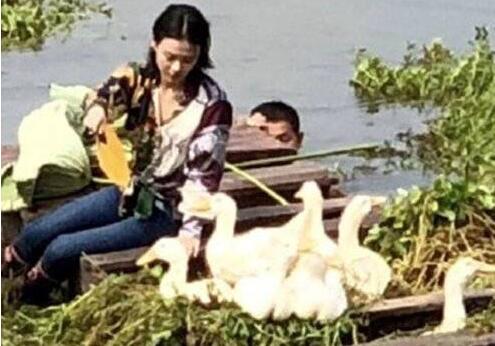 你Skr天使吗?马思纯给鸭子扇风 