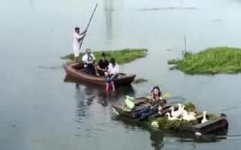 纯玩！马思纯给鸭子扇风：我就是一个比较活泼的小女生吧