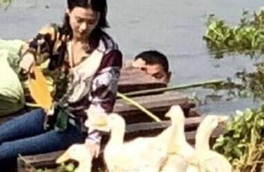 马思纯给鸭子扇风 网友调侃：难道马思纯把鸭子当成周冬雨了吗